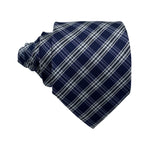 Taylor & Wright Minimalist Plaid Pattern Men's Tie