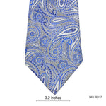 Hudson Room Refined Silk Blue Paisley Pattern Men's Tie