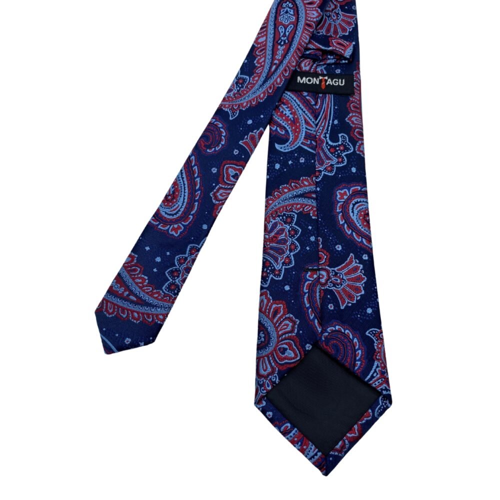 Midnight Blue Red Paisley Pattern Men's Tie by Montagu