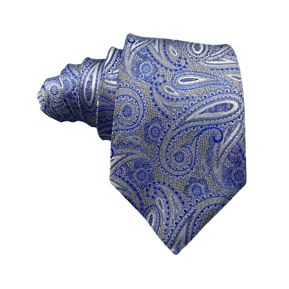 Hudson Room Refined Silk Blue Paisley Pattern Men's Tie