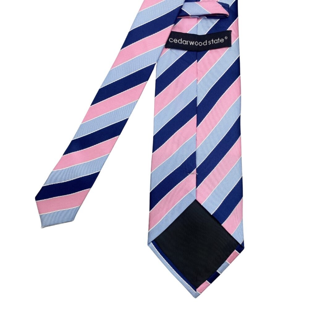 Cedarwood State Multi Shades Stripes Pattern Men's Tie